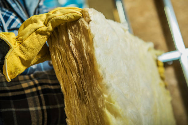 Best Residential Insulation in Hemby Bridge, NC