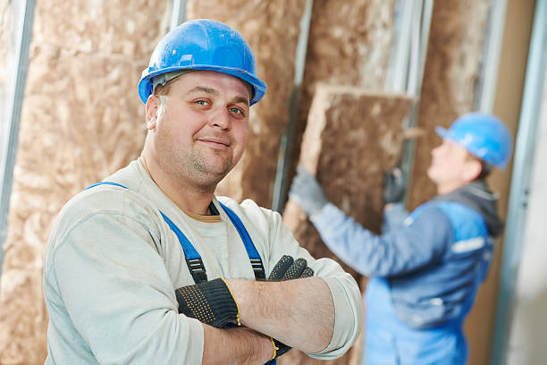 Best Insulation Maintenance and Repair in Hemby Bridge, NC